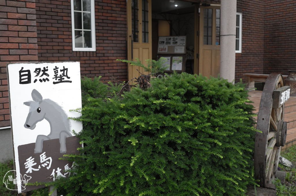 L1001728.JPG