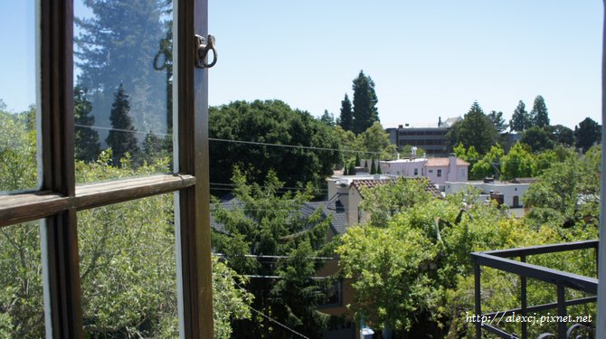 DSC00855.jpg