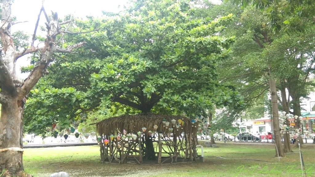 070930.jpg