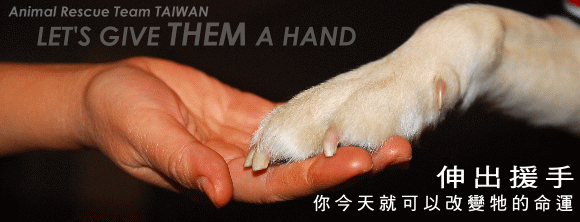 ad_20090125.gif