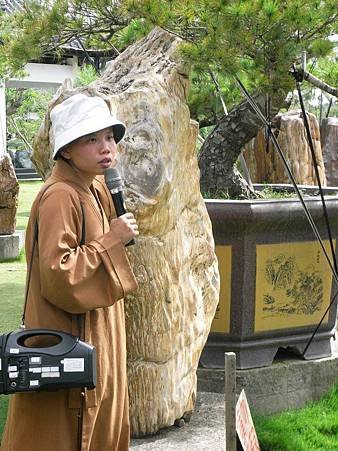 木化石 (6).JPG