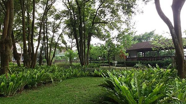 20160426河岸 (17).jpg