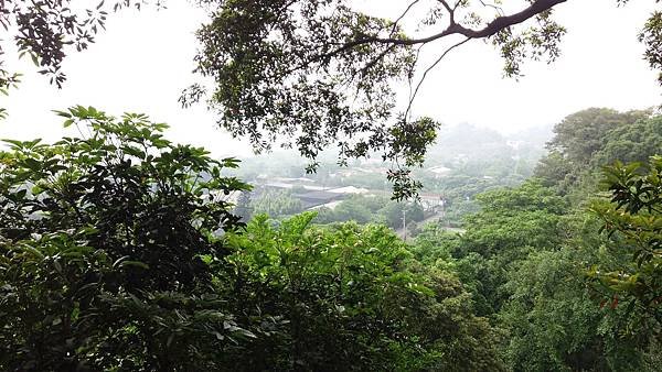 20160426河岸 (20).jpg
