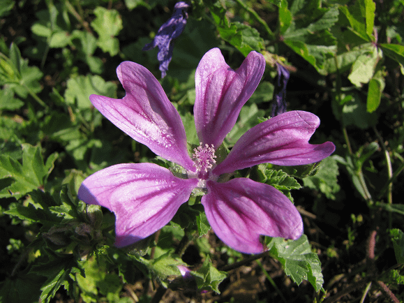 image126.png