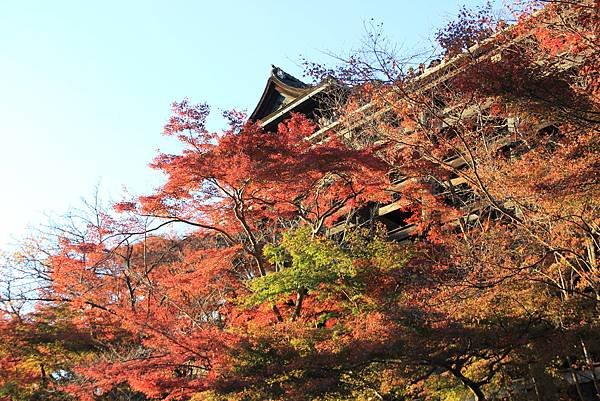 楓葉之旅~清水寺【三】