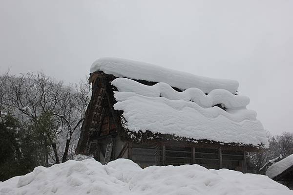 日本北陸之旅 1083