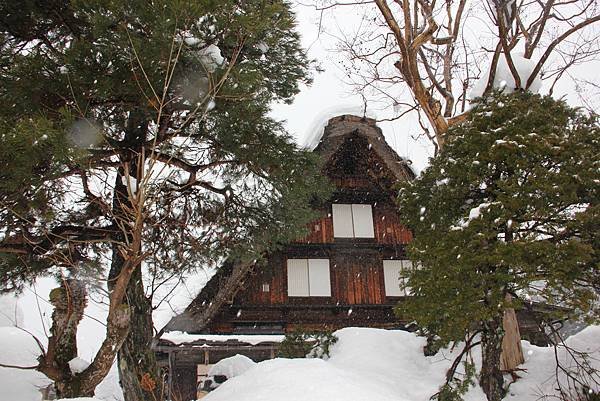 日本北陸之旅 1036