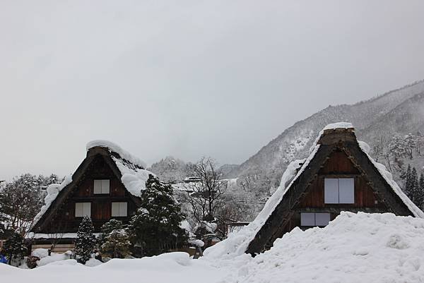 北陸之旅~合掌村之二