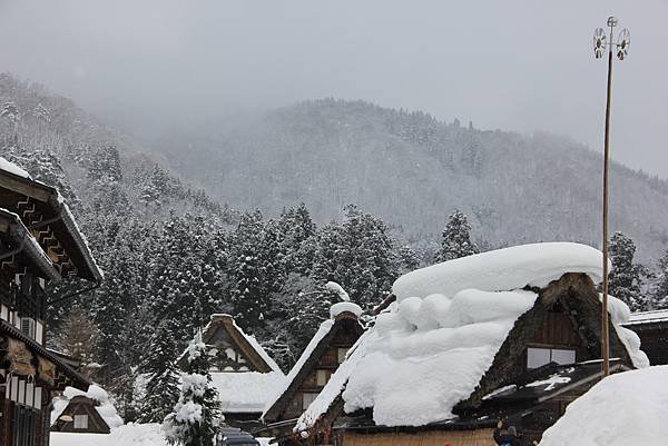 日本北陸之旅 1018