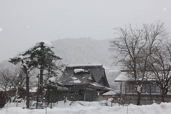 日本北陸之旅 1061