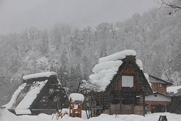 日本北陸之旅 1050