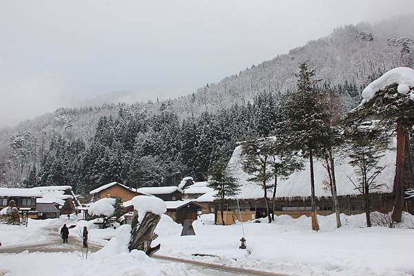 日本北陸之旅 1010