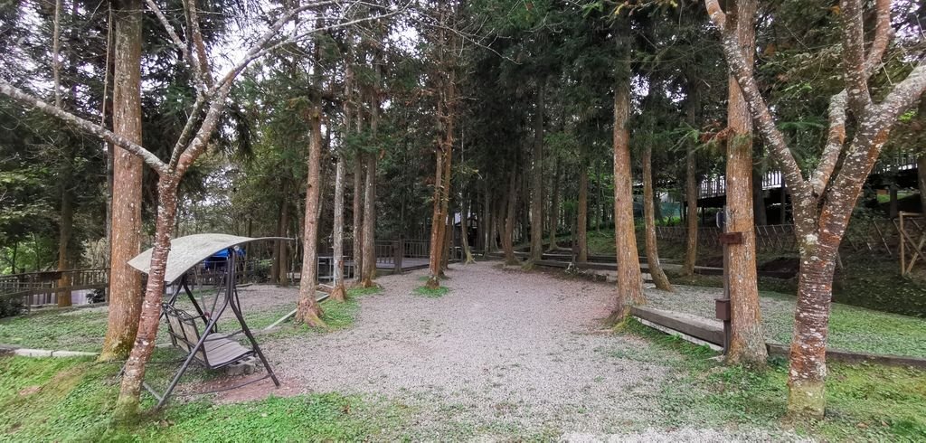 IMG_20191019_094419.jpg