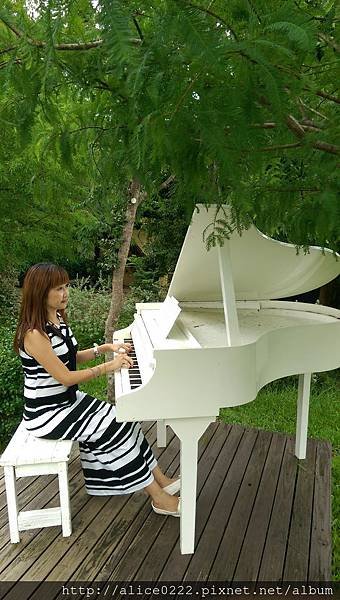 IMAG0168.jpg