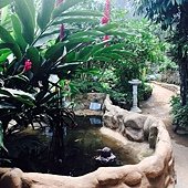 IMG_3806.JPG