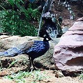 IMG_3848.JPG