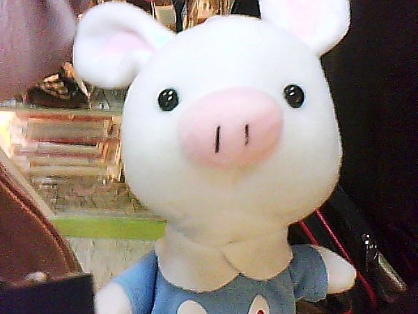 DSC-0000528.jpg