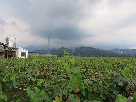 IMG_3567_調整大小.JPG