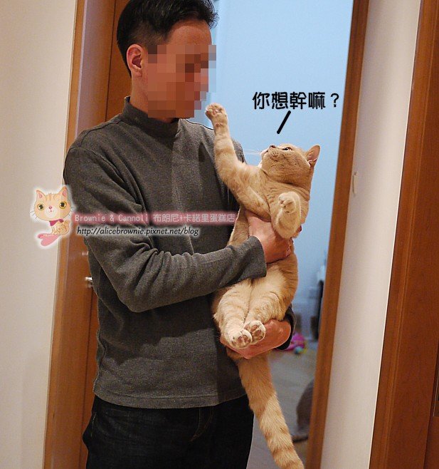 D_09009.JPG