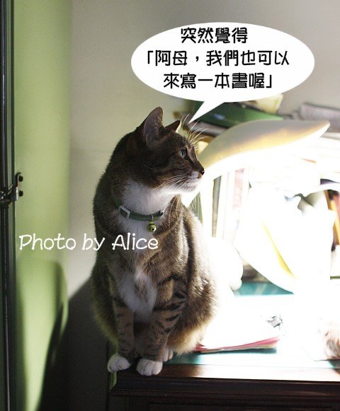 Picture_ 195.jpg
