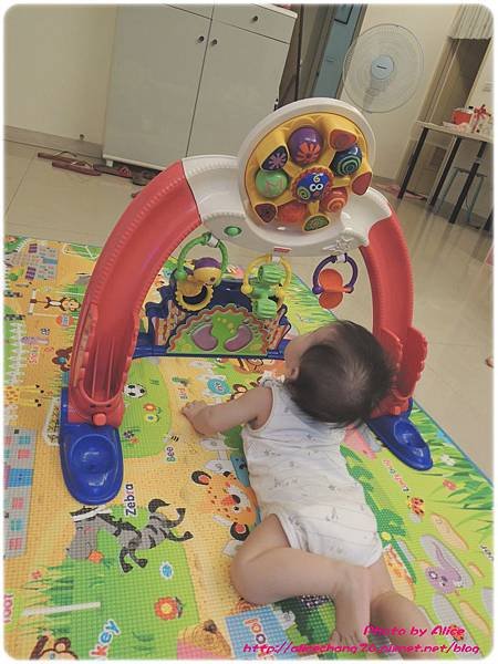 DSCN0904
