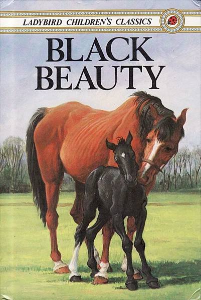 20190611 black beauty.jpg