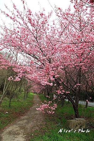 20110224_115cha.jpg