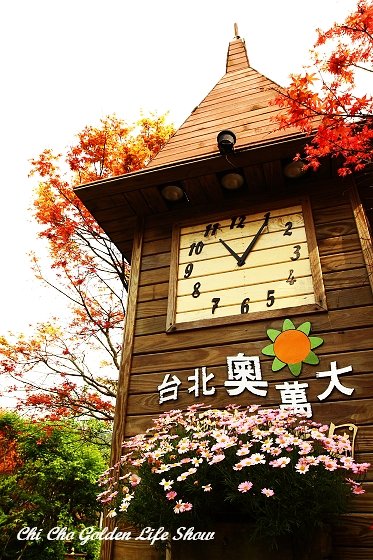 20090322_231cha.jpg