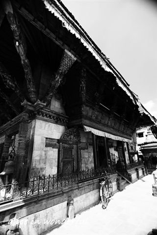20090926_136chabkc.jpg
