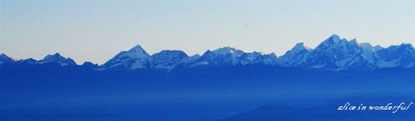 20090928_029cha.jpg