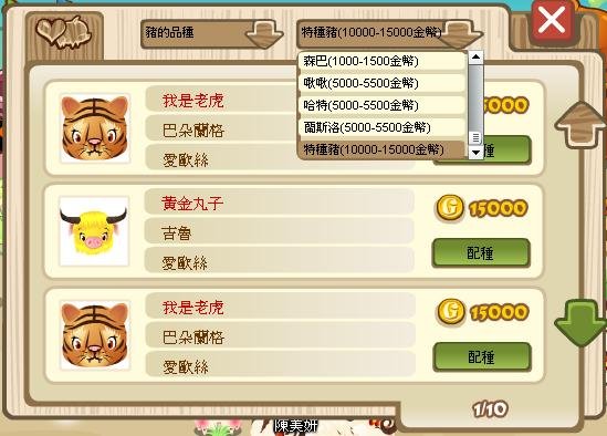 特種豬.JPG