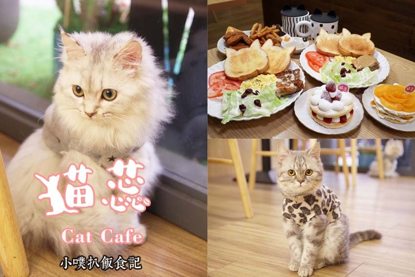 貓蕊 Cat Cafe.jpg