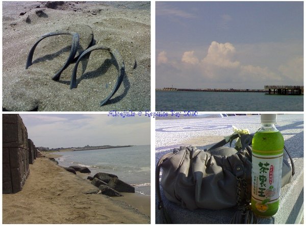 201007151313-2.jpg