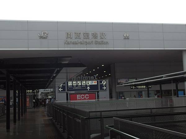 P8100018.JPG