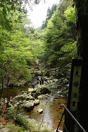 DSCN7038.JPG