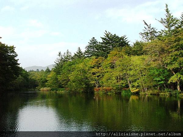 【長野縣】雲場池～輕井澤最浪漫的池畔楓景