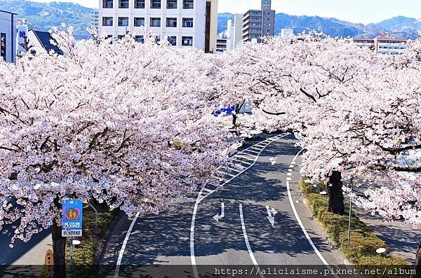 【茨城縣】妹島和世*日立車站~太平洋碧海藍天下最美的海上夢幻