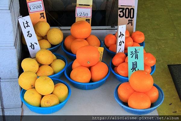 【廣島縣】尾道：3條散策路線，眺望瀨戶內島波風情、走進獨一無