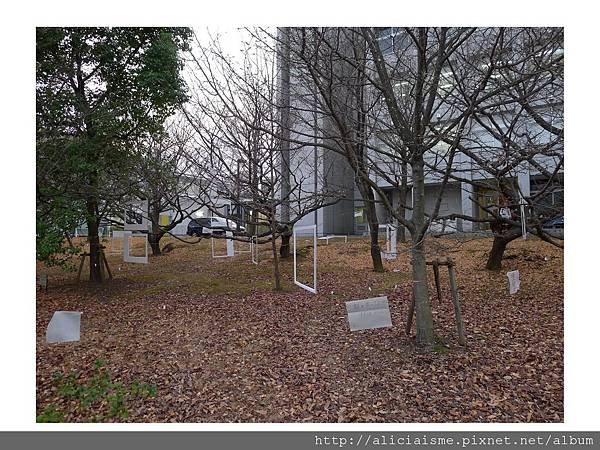 20110415_172841_P1070079.jpg