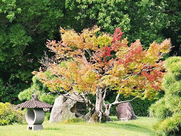 【JR西日本鐵路優惠套票 | 岡山縣】岡山樂享周遊券，岡山城