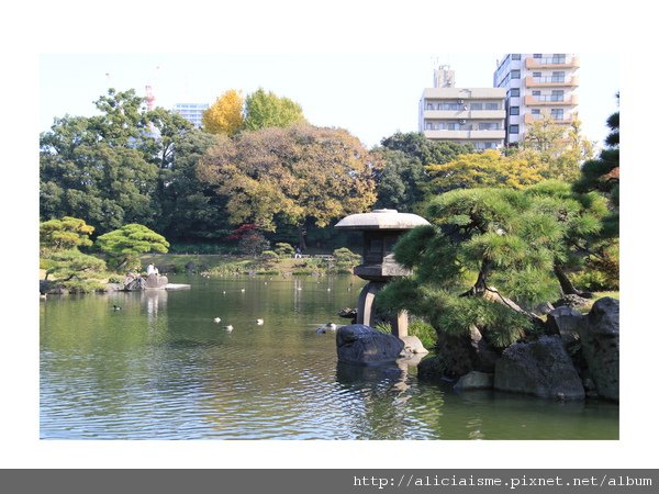 【東京都】清澄庭園：下町風情的日式庭園裏，品咖啡找四季