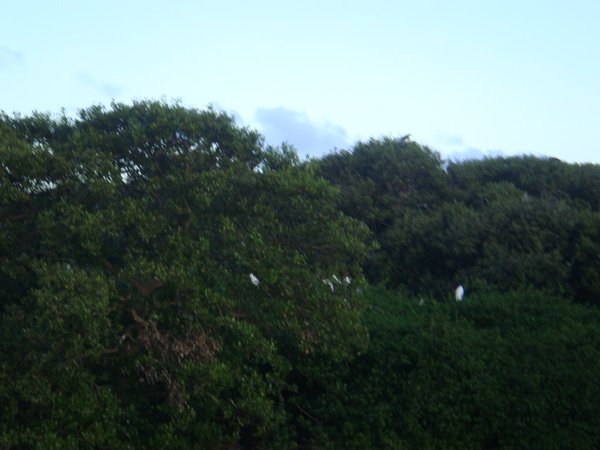 DSC02428.JPG