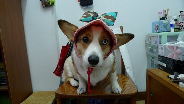 P1000011.JPG