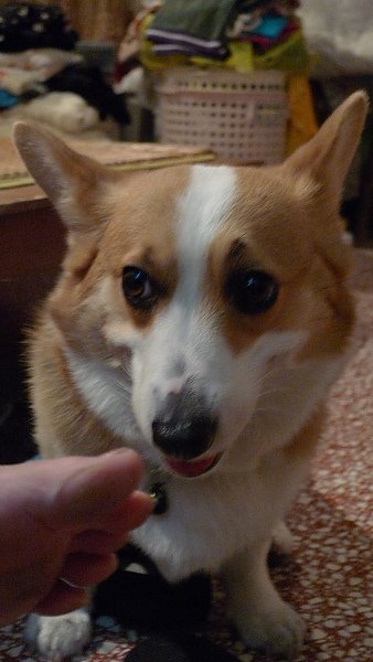 P1000053.JPG