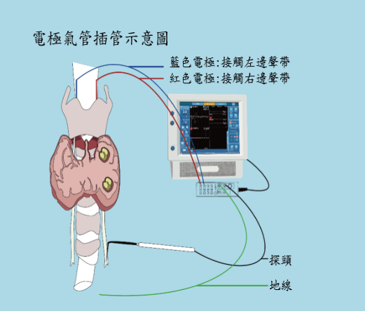 螢幕擷取畫面 2024-04-10 170228.png