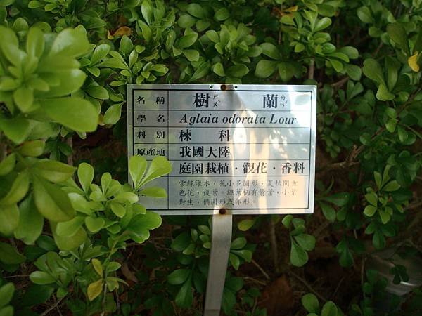 DSC03712.JPG