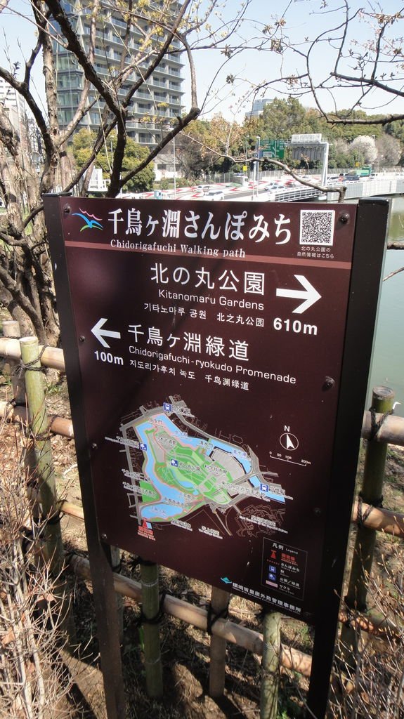 03.JPG