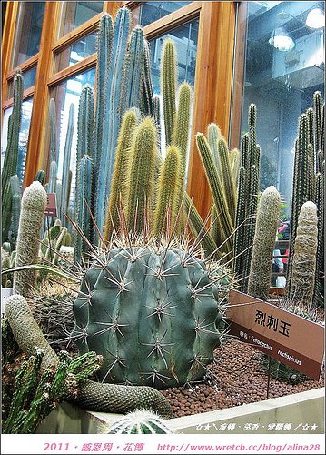 『台北』初次見面花博‧文化館、未來館