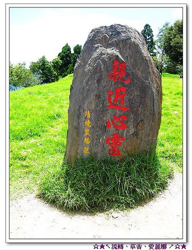 『2010愛戀七夕‧中彰投苗』南投‧終於來到清境農場‧青青草原可愛羊咩咩