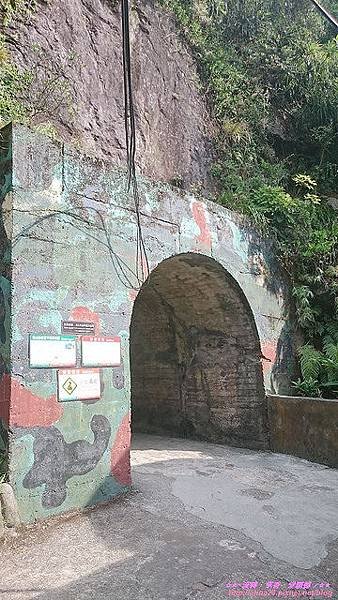 『宜蘭』龜山島賞鯨豚登島一日遊 (13).jpg
